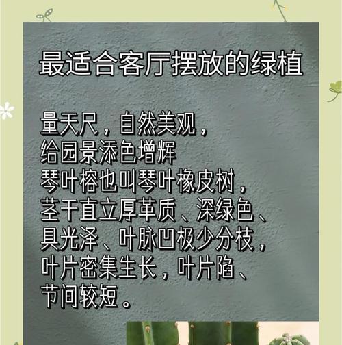仙人掌量天尺冬季养护要点是什么？