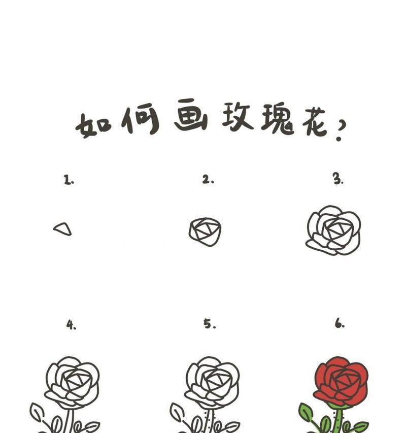 用玫瑰花束种植玫瑰花的步骤是什么？