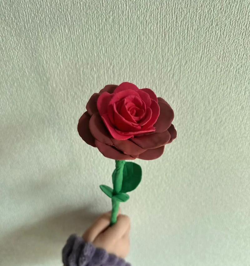 新鲜玫瑰花瓣如何制作玫瑰花干？