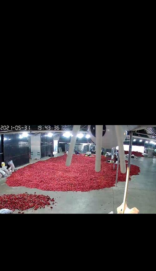 新鲜玫瑰花瓣如何制作玫瑰花干？
