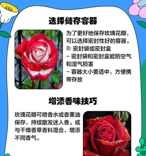 玫瑰花瓣花嘴的其他用途是什么？