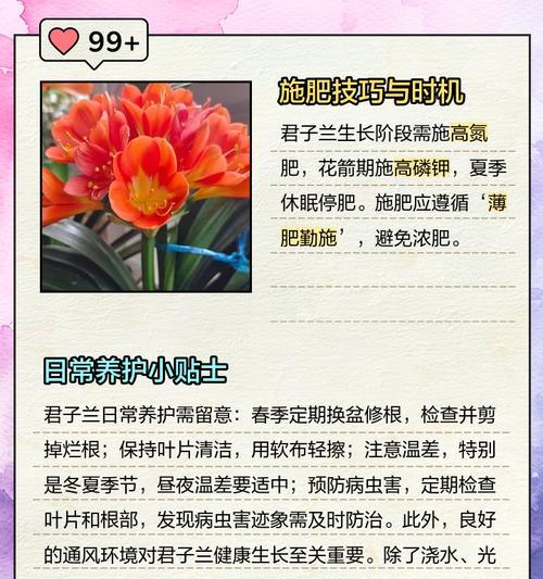 君子兰硬植料浇水的正确方法是什么？