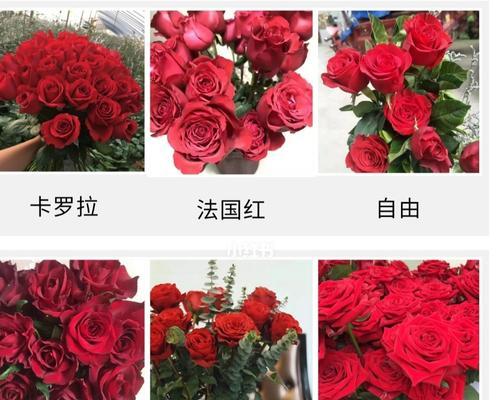 可以食用的玫瑰花品种名称是什么？