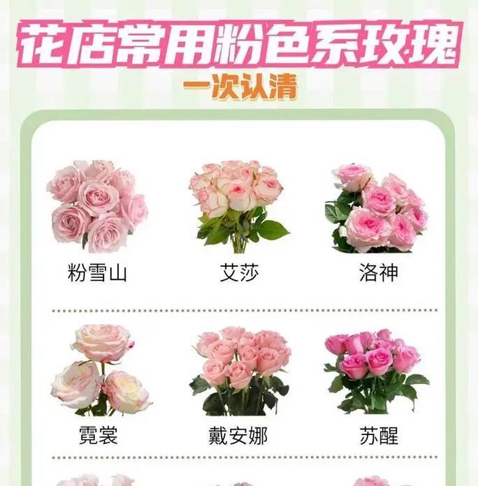 可以食用的玫瑰花品种名称是什么？
