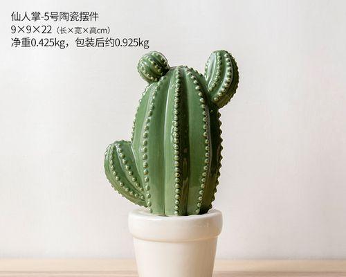 假仙人掌摆饰品的摆放技巧是什么？