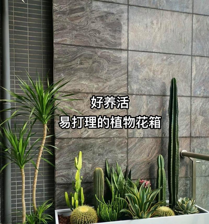 如何正确配制仙人掌花池的土壤？