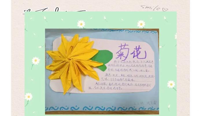 立体仙人掌植物名片的制作方法是什么？
