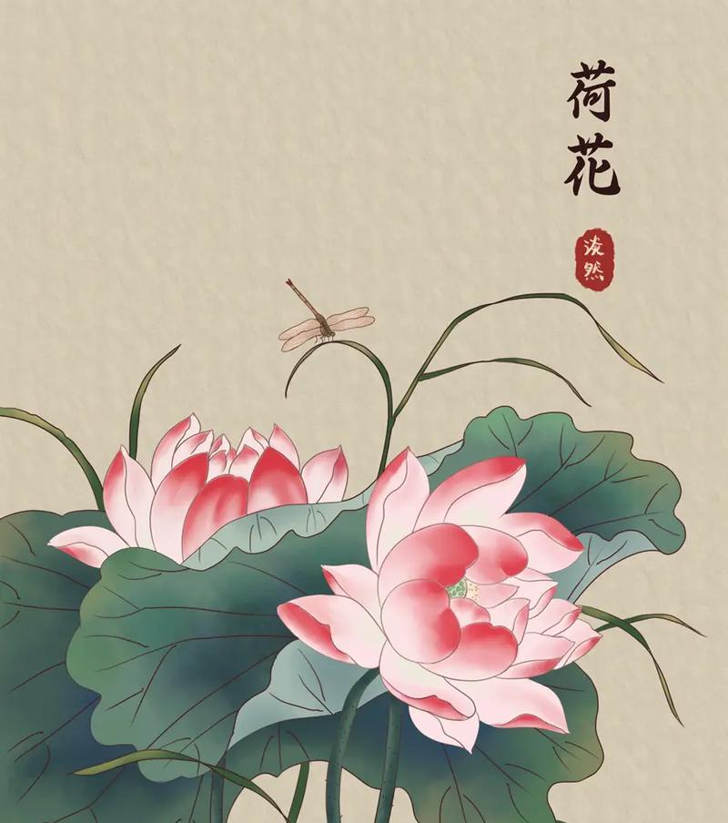 荷花的花语代表什么？