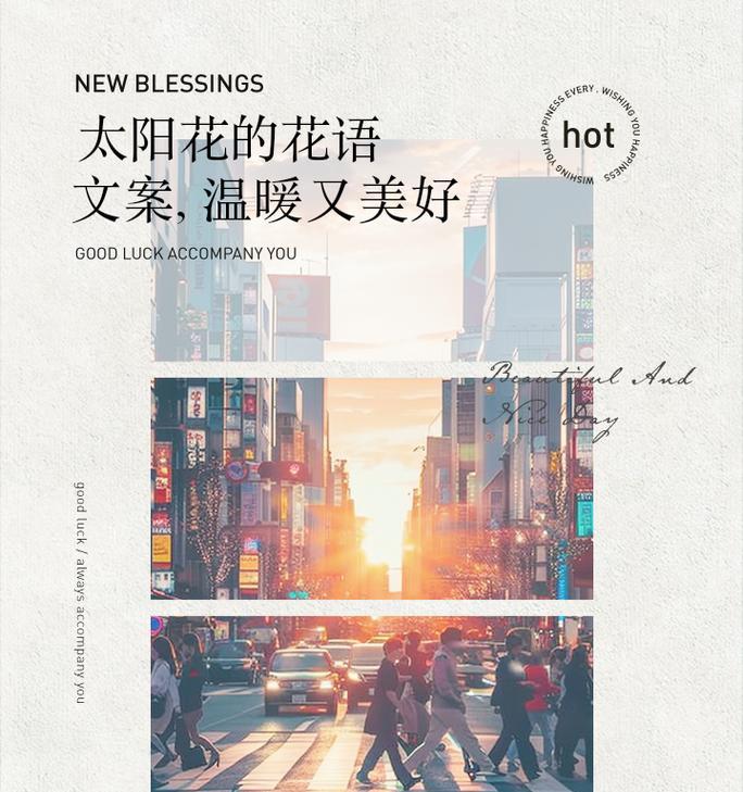 阳光温暖积极的花语有何寓意？