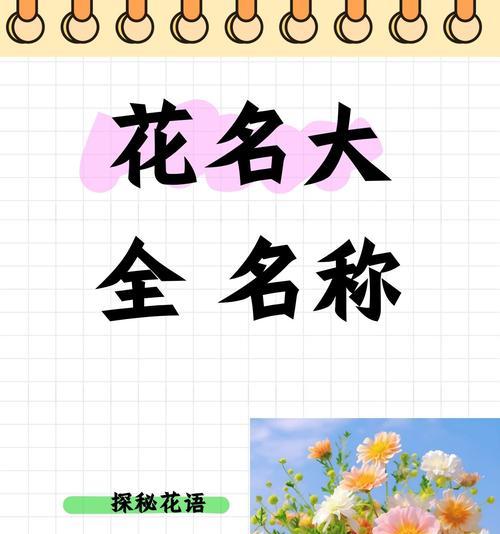 不同花卉的花语代表什么？每种花的含义是什么？