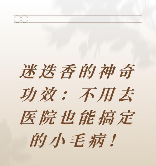 迷迭香的花语与鸦的悲剧有何关联？
