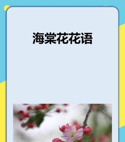 哪种花的花语是纯净可爱？它通常用来表达什么？