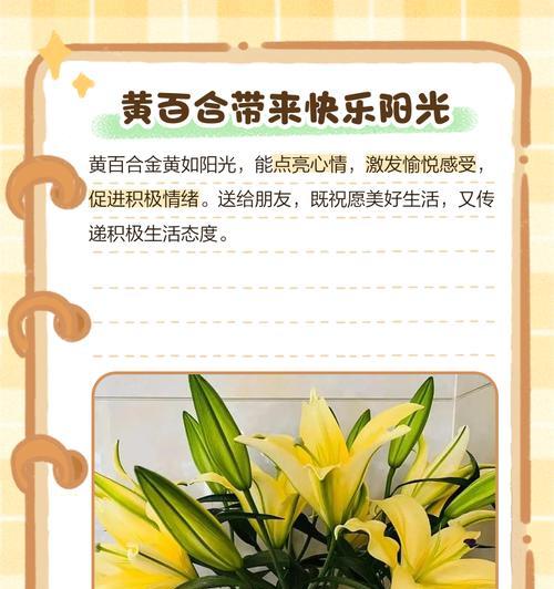 百合花日语的花语是什么？如何用日语表达百合花的花语？