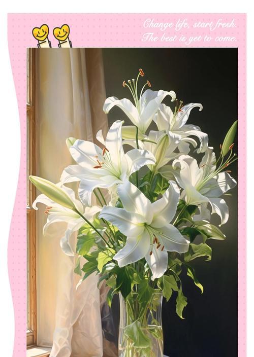 百合花语象征什么？百合花代表了哪些意义？