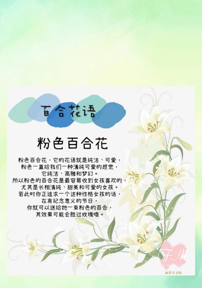黄白百合花的花语是什么？黄白色百合花的象征意义是什么？
