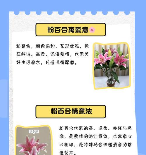 百合花一朵的花语有何含义？如何用一朵百合表达情感？
