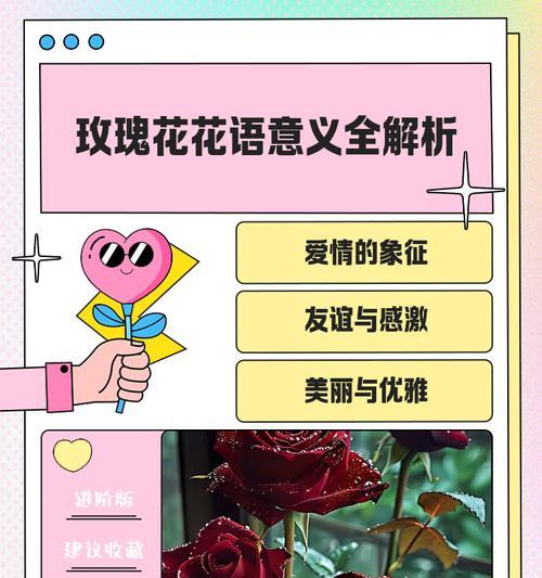 不同颜色玫瑰花花语分别是什么？如何用玫瑰花表达情感？