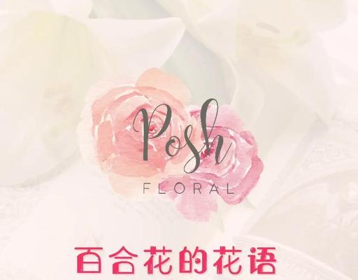 百合花在日本的花语有何不同？它承载了哪些文化意义？
