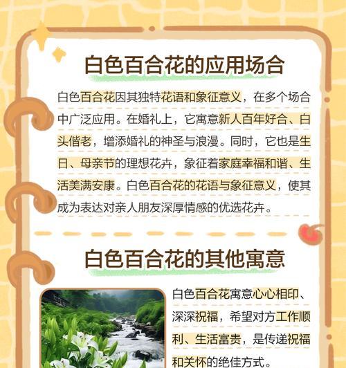 百合花在日本的花语有何不同？它承载了哪些文化意义？