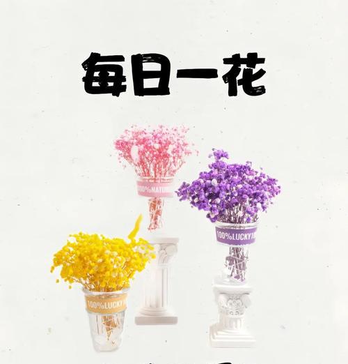 满天星的花语是什么？如何用它来表达情感？