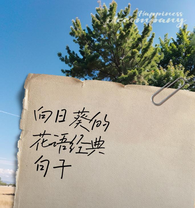 向日葵的花语与什么相似？它传递了怎样的情感？