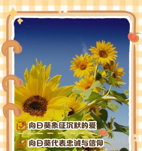 向日葵的花语与什么相似？它传递了怎样的情感？