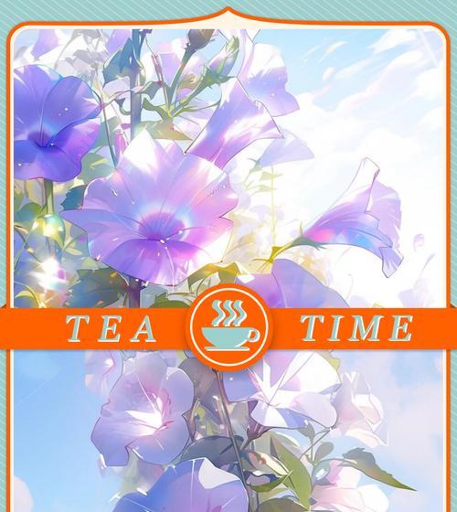 牵牛花的花语和象征是什么？它有什么特别含义？