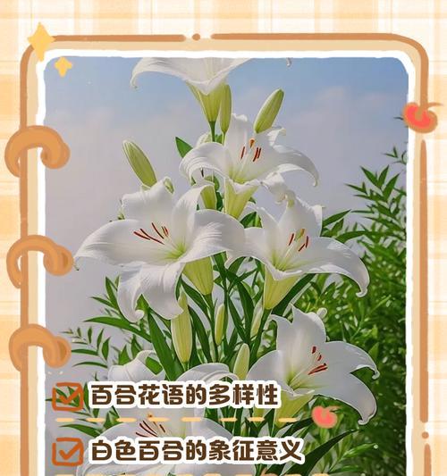 花的花语是什么意思？花语通常表达什么？