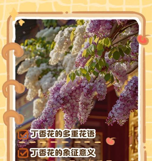 花的花语是什么意思？花语通常表达什么？