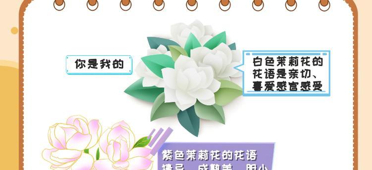 紫茉莉的花语及介绍是什么？它有哪些独特的特点？
