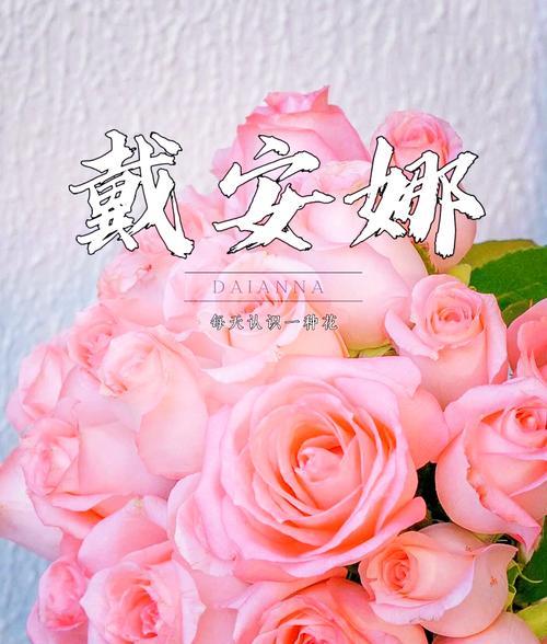 看望病重长辈时应该选择哪种花语？