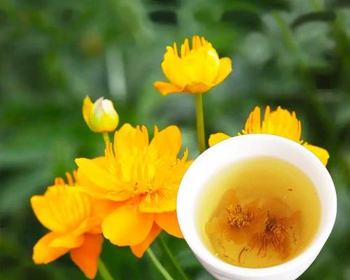 金莲花的花语有何特别之处？