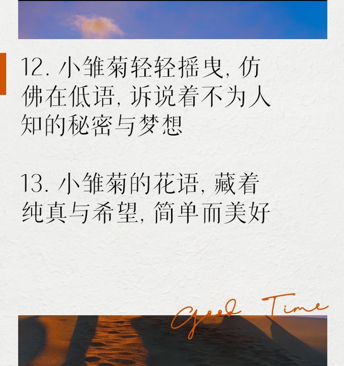 雏菊花语对应的花语是什么？