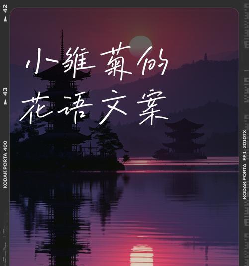雏菊花语对应的花语是什么？