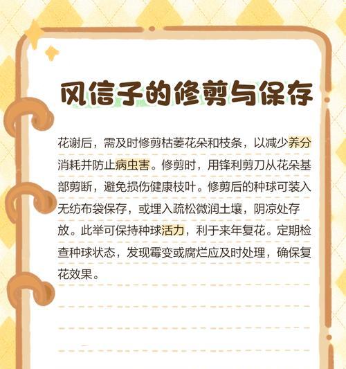 风信子冬季保养的秘诀是什么？