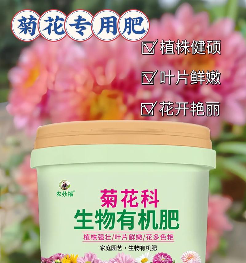 菊花有哪些传统和现代用途？如何利用菊花进行家庭保健？