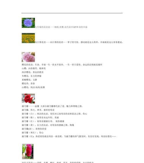 澎湖树的正确养护技巧有哪些？