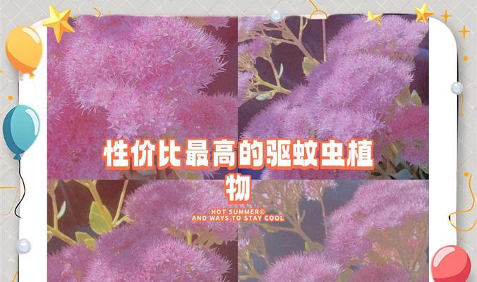 八宝景天繁殖方法是什么？