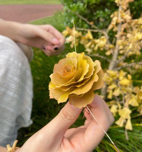 银杏树的花是什么样子？银杏树的花期和特点是什么？