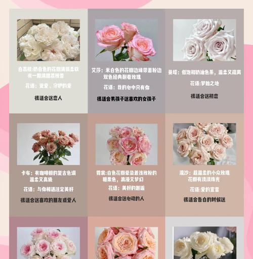 玫瑰花的养护秘诀是什么？