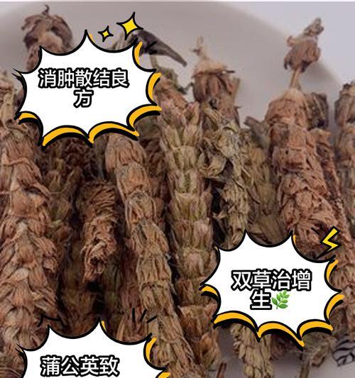 夏枯草有哪些品种？各品种的药用价值如何？