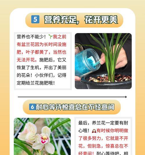 兰花有多少个品种？兰花品种的选购指南是什么？
