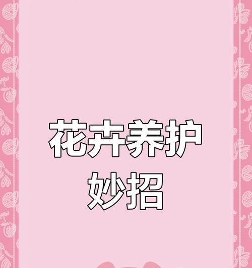 花卉养护的基本技巧有哪些？花卉养护的常见问题是什么？