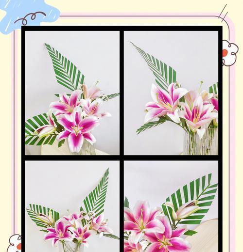 花卉养护的基本技巧有哪些？花卉养护的常见问题是什么？