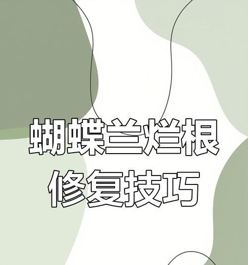 蝴蝶兰烂根的处理和预防措施？