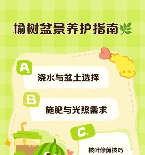榆树盆景制作方法详解？