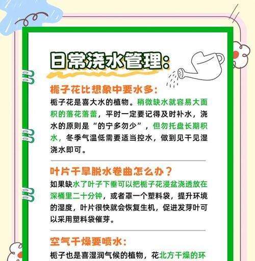栀子花养护技巧有哪些？