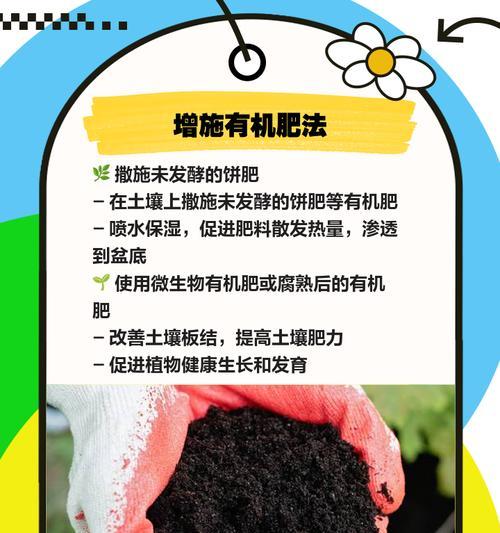 盆栽松土的最佳时机和方法是什么？
