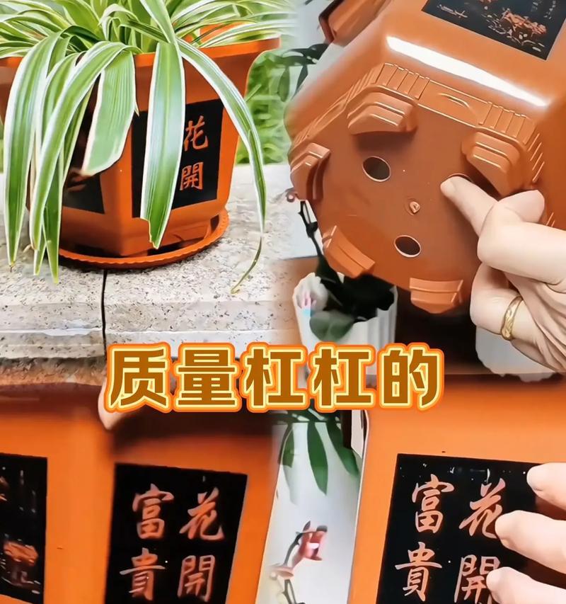 盆栽松土的最佳时机和方法是什么？