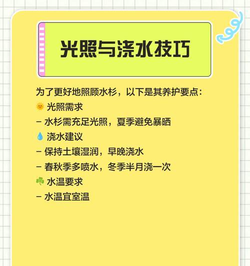 水杉浇水的频率是多少？